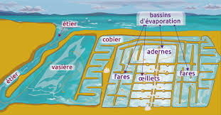 marais salant